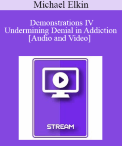 IC92 Workshop 55b - Demonstrations IV - Undermining Denial in Addiction - Michael Elkin