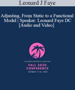 Leonard J Faye - Adjusting, From Static to a Functional Model | Speaker: Leonard Faye DC