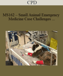 CPD - MS162 – Small Animal Emergency Medicine Case Challenges for Advanced Practitioners Mini Series