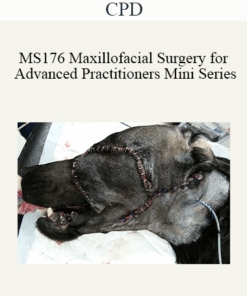 CPD - MS176 Maxillofacial Surgery for Advanced Practitioners Mini Series