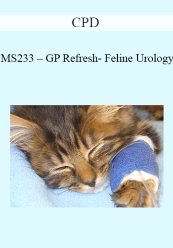 CPD – MS233 – GP Refresh- Feline Urology