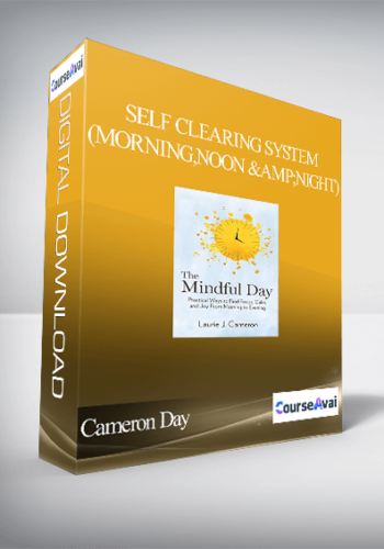Cameron Day – Self Clearing System (Morning, Noon & Night)