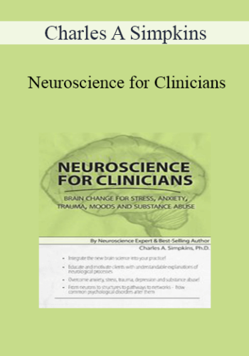 Charles A Simpkins - Neuroscience for Clinicians: Brain Change for Stress, Anxiety, Trauma, Moods and Substance Abuse