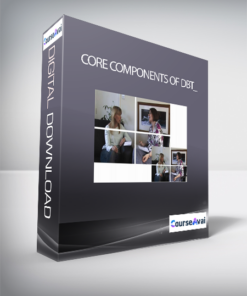 Core Components of DBT_