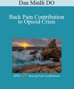 Dan Miulli DO - Back Pain Contribution to Opioid Crisis