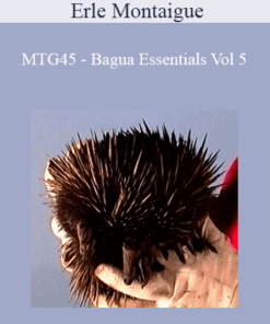 Erle Montaigue - MTG45 - Bagua Essentials Vol 5