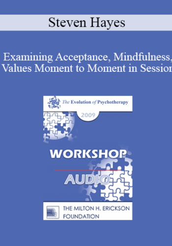 [Audio] EP09 Workshop 37 – Examining Acceptance, Mindfulness, Values Moment To Moment In Session – Steven Hayes, PhD