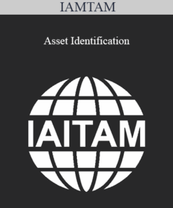 IAMTAM - Asset Identification