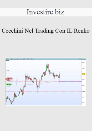 Investire.biz – Cecchini Nel Trading Con IL Renko