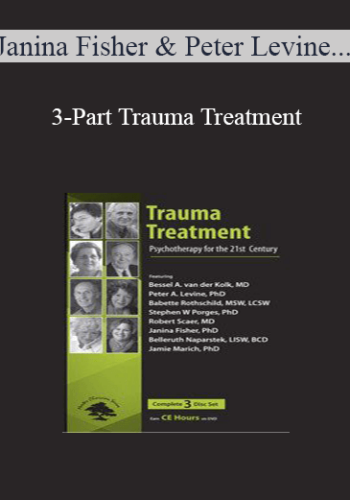 Janina Fisher, Peter Levine, Jamie Marich, Babette Rothschild, Belleruth Naparstek, Robert Scaer, Stephen Porges, Bessel van der Kolk - 3-Part Trauma Treatment: Psychotherapy for the 21st Century