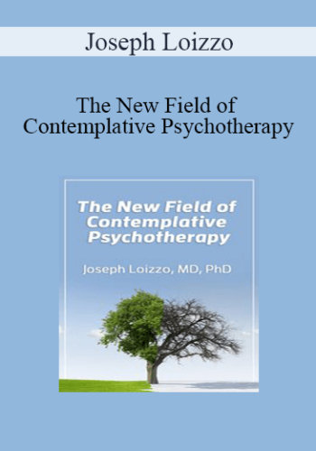 Joseph Loizzo - The New Field of Contemplative Psychotherapy