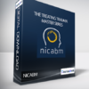 NICABM – The Treating Trauma Master Series