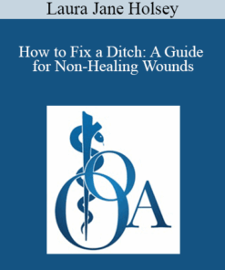 Laura Jane Holsey - How to Fix a Ditch: A Guide for Non-Healing Wounds