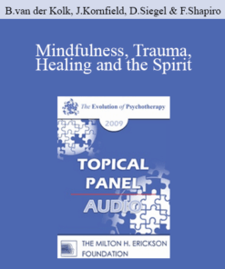 [Audio] EP09 Topical Panel 08 - Mindfulness