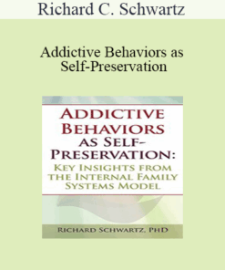 Richard C. Schwartz - Addictive Behaviors as Self-Preservation: Key Insights from the Internal Family Systems Model