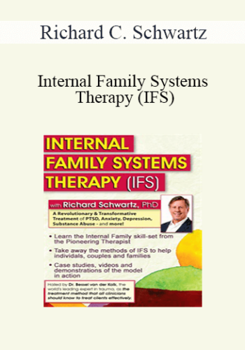 Richard C. Schwartz - Internal Family Systems Therapy (IFS): A Revolutionary & Transformative Treatment of PTSD, Anxiety, Depression, Substance Abuse - and More!
