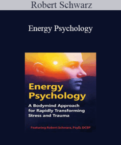 Robert Schwarz - Energy Psychology: A Bodymind Approach for Rapidly Transforming Stress and Trauma
