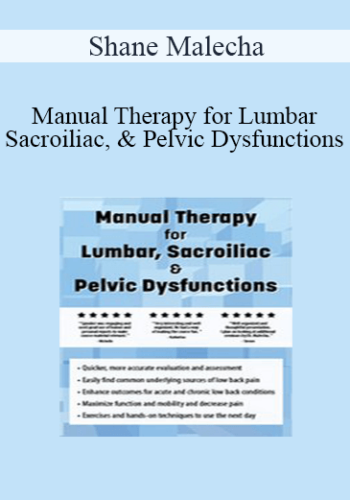 Shane Malecha - Manual Therapy for Lumbar, Sacroiliac, & Pelvic Dysfunctions