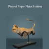 Terry Schmidt - Strategic Project Mastery