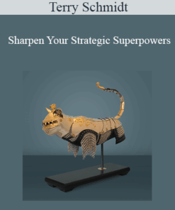 Terry Schmidt - Sharpen Your Strategic Superpowers
