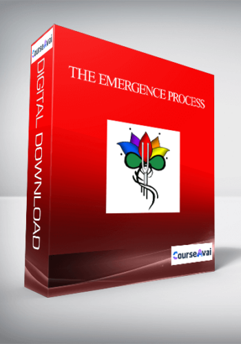 The Emergence Process