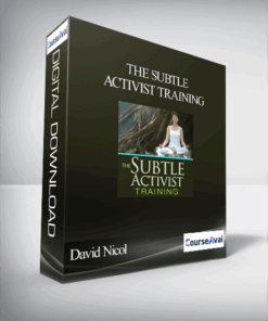 The Subtle Activist Training With David Nicol