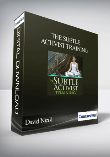 The Subtle Activist Training With David Nicol