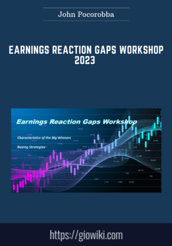 Earnings Reaction Gaps Workshop 2023  –  John Pocorobba