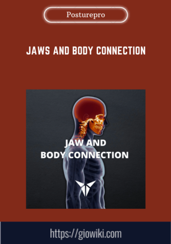 Jaws And Body Connection  –  Posturepro