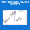Point & Figure Charting To Maximize Your Profits - Gary Dayton