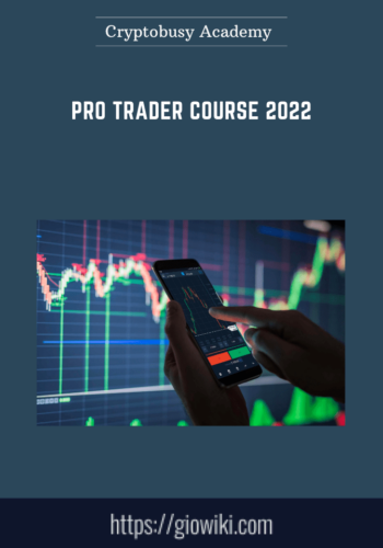 Pro Trader Course 2022  –  Cryptobusy Academy