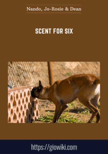 Scent For Six  –  Nando, Jo – Rosie & Dean