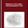TrendsVC PRO 0083 - Programmatic SEO - Anonymous