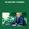 YSB Bodywork Techniques - Xie Pieqi
