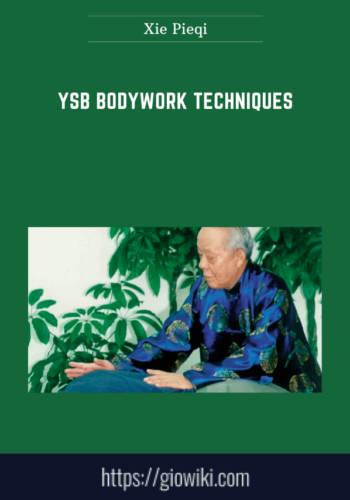 YSB Bodywork Techniques  –  Xie Pieqi