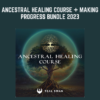 Teal Swan - Ancestral Healing Course + Making Progress Bundle 2023