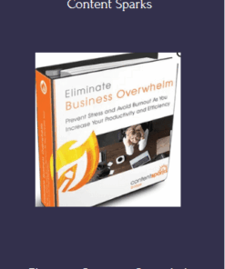 Eliminate Business Overwhelm (Blaze Package) - Content Sparks