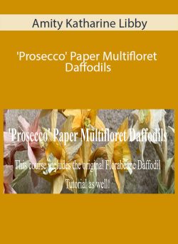 Amity Katharine Libby – ‘Prosecco’ Paper Multifloret Daffodils