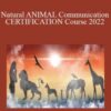 Inner Spirit – Natural ANIMAL Communication CERTIFICATION Course 2022