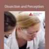 Lauri Nemetz – Dissection and Perception