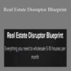 Steve Trang – Real Estate Disruptor Blueprint