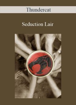 Thundercat – Seduction Lair