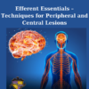 530) Efferent Essentials – Techniques for Peripheral and Central Lesions By Carrick Institute