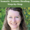 Somatic Trauma Healing Step-by-Step By Abi Blakeslee
