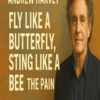 Andrew Harvey - Fly Like a Butterfly, Sting Like a Bee The Pain
